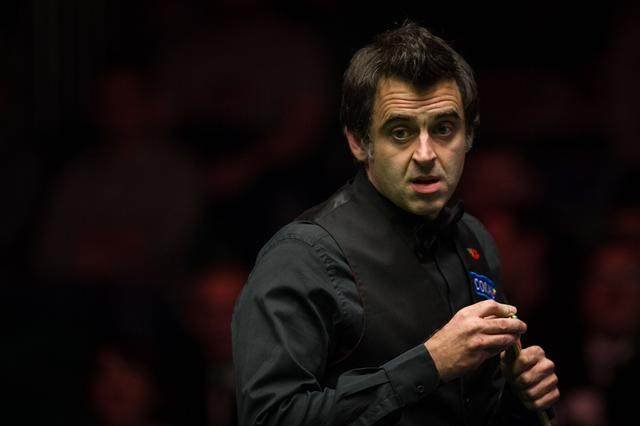 他们很可能 他们很可能